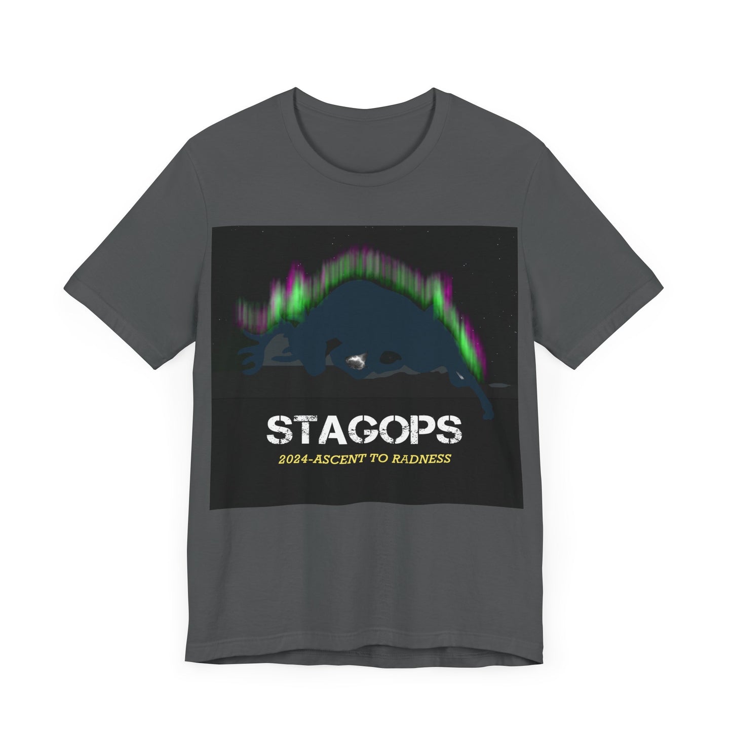 2024 Ascent to Radness Tour Tee