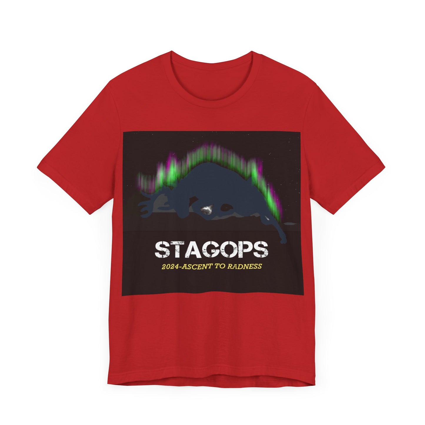 2024 Ascent to Radness Tour Tee