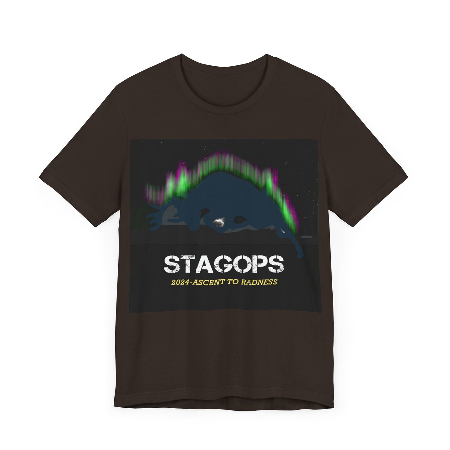 2024 Ascent to Radness Tour Tee