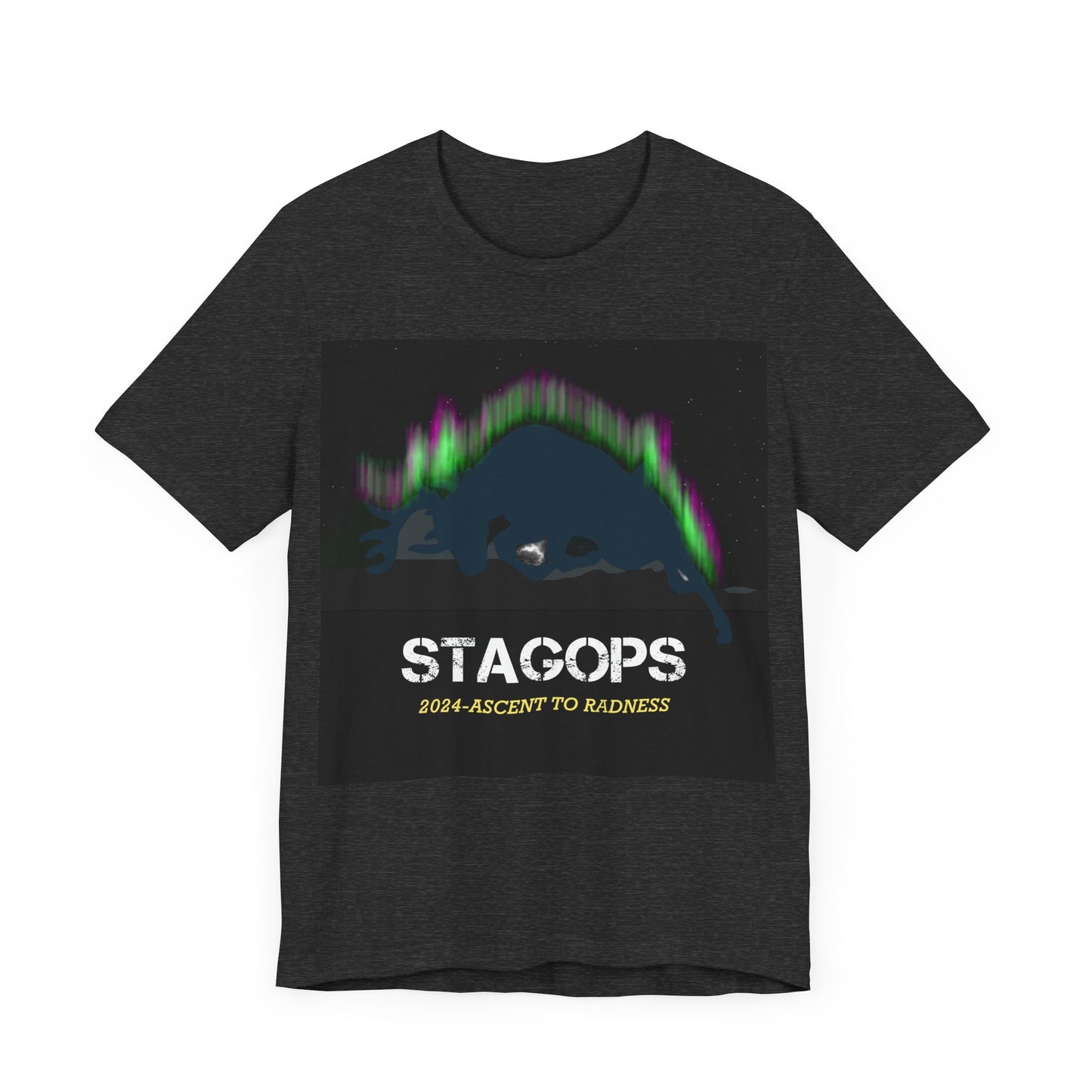 2024 Ascent to Radness Tour Tee (Double print)