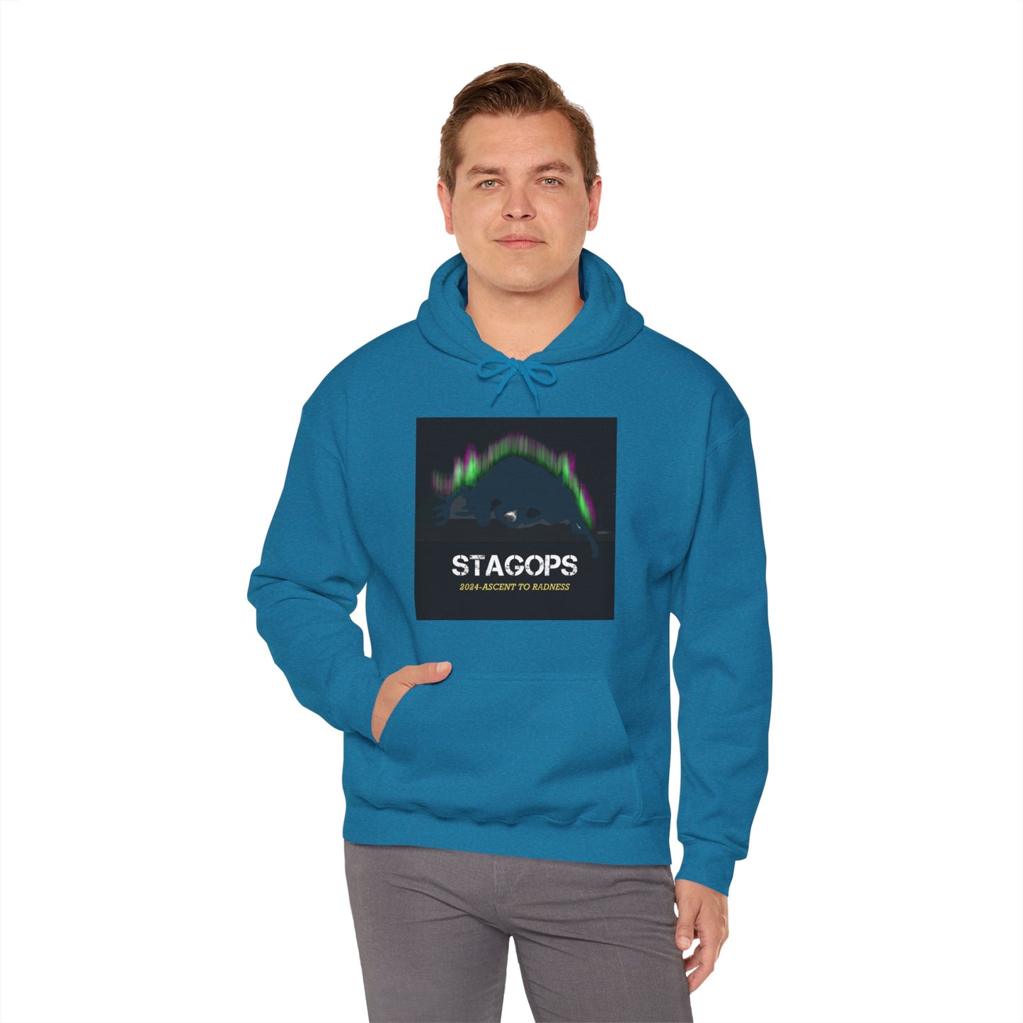 2024 Ascent to Radness Tour hoodie (Printed Front & Back)