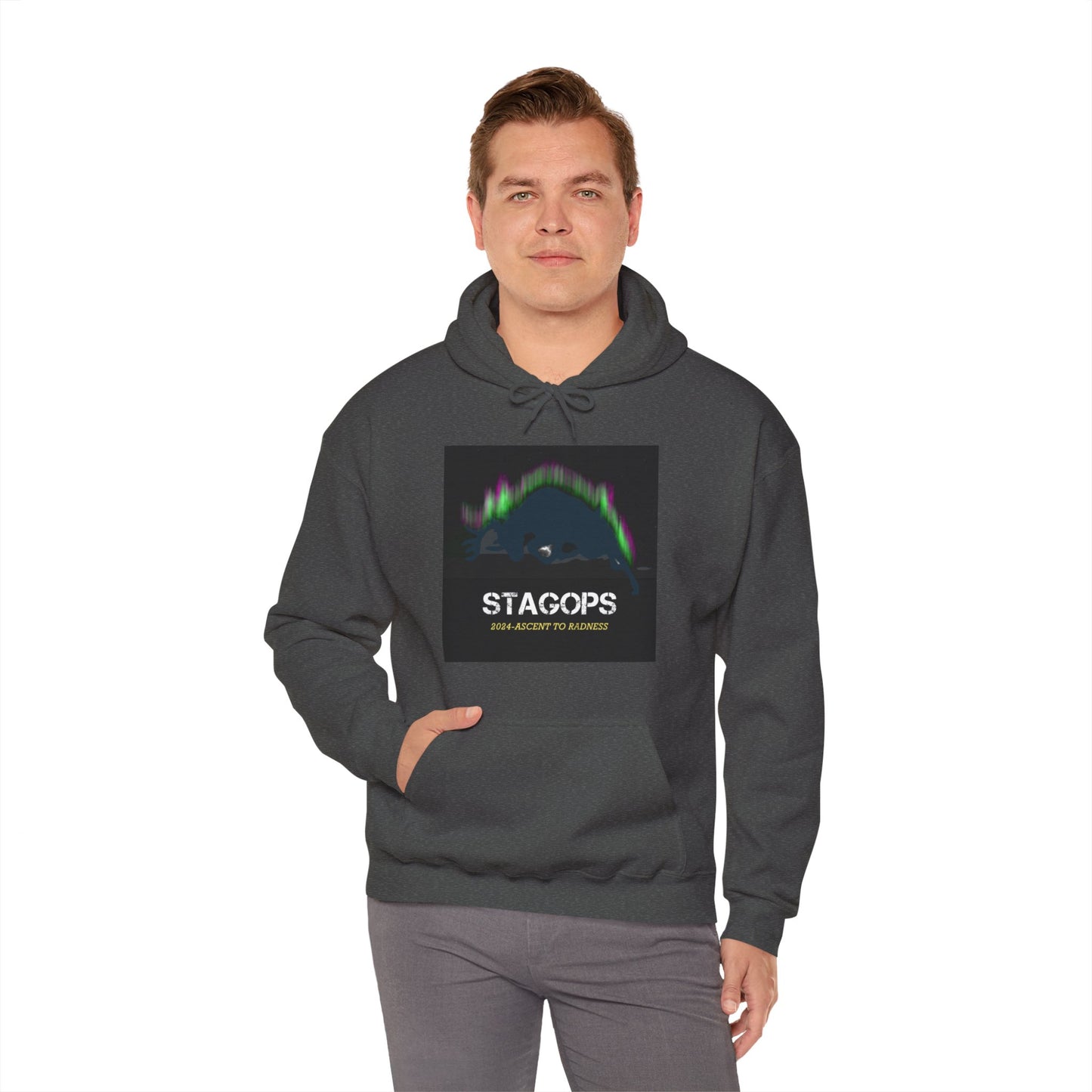 2024 Ascent to Radness Tour hoodie (Printed Front & Back)