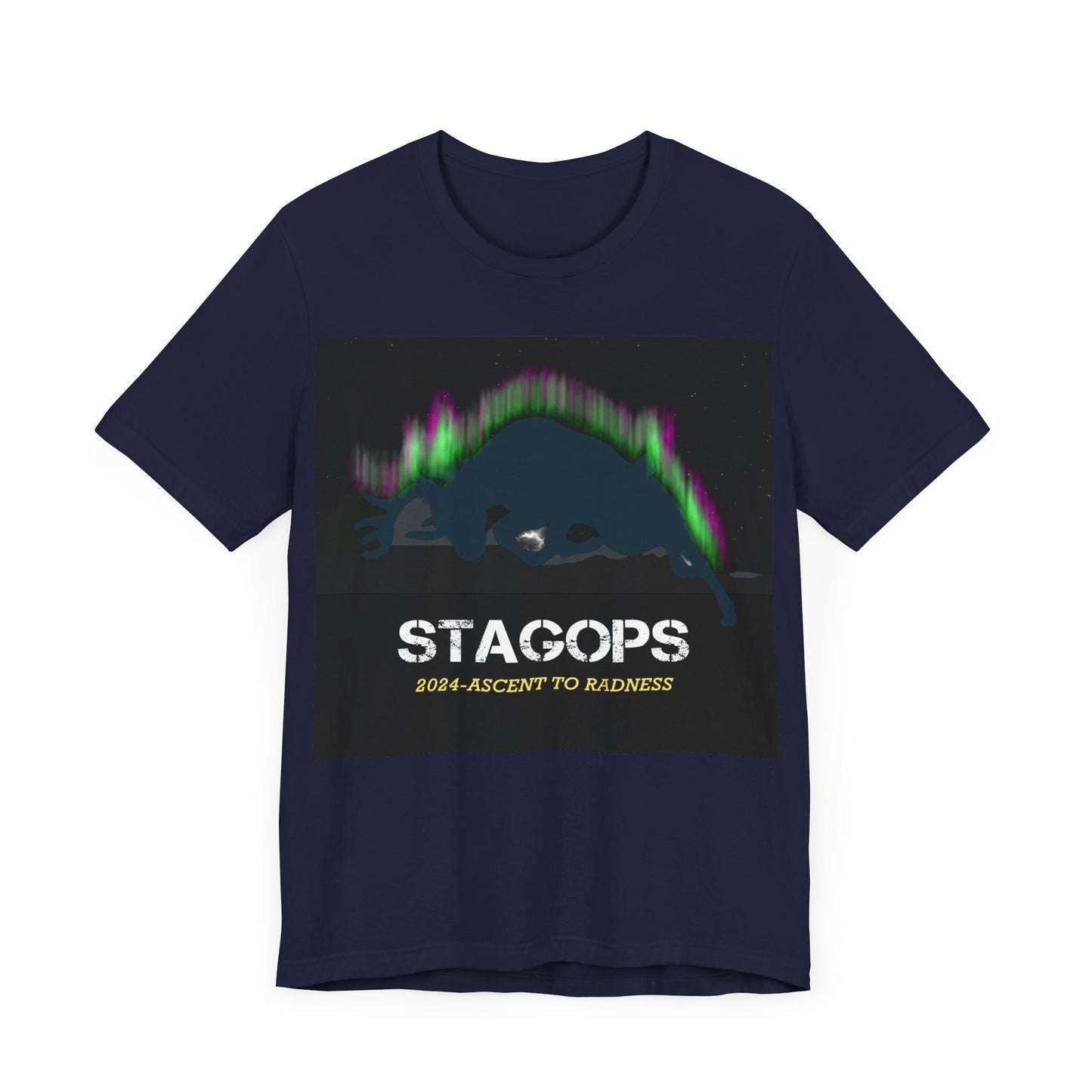 2024 Ascent to Radness Tour Tee