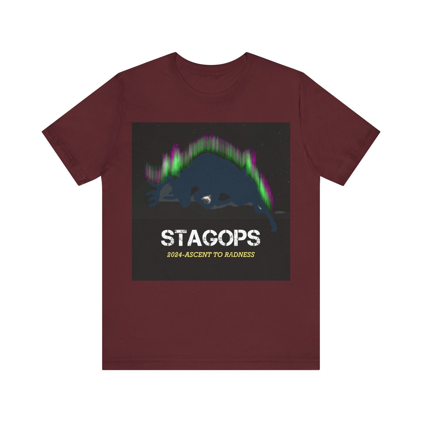 2024 Ascent to Radness Tour Tee (Double print)