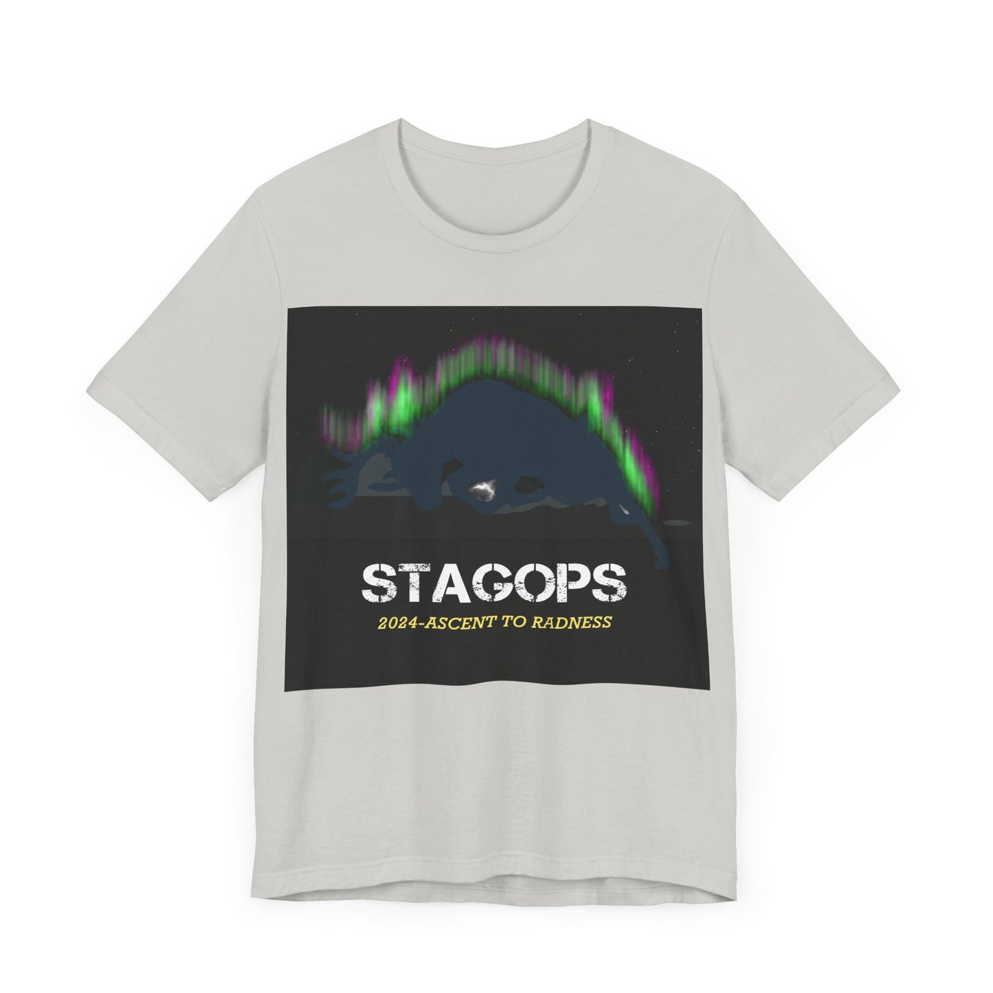 2024 Ascent to Radness Tour Tee