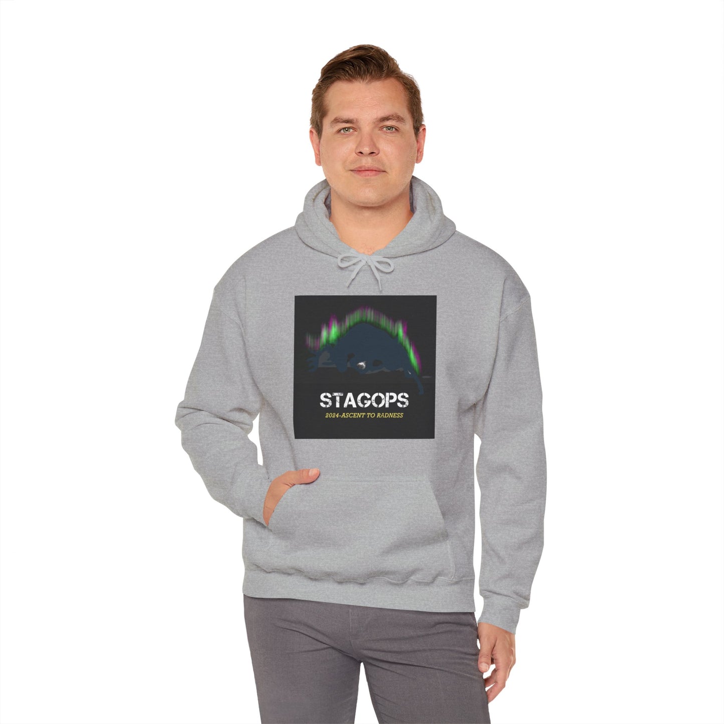 2024 Ascent to Radness Tour hoodie (Printed Front & Back)