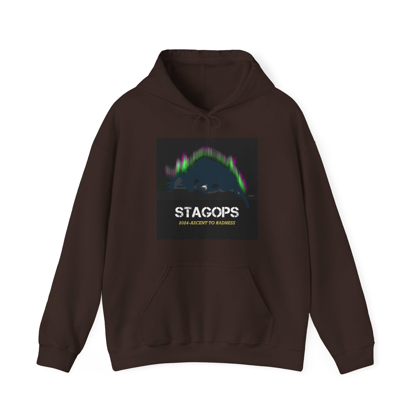 2024 Ascent to Radness Tour hoodie (Printed Front & Back)