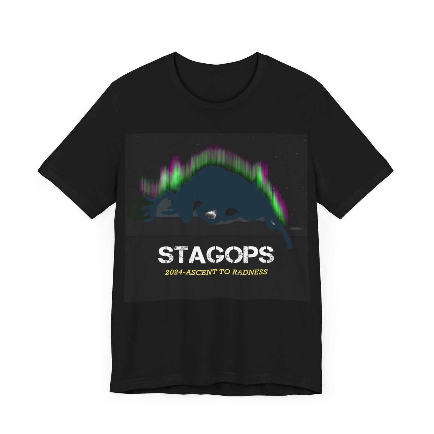 2024 Ascent to Radness Tour Tee