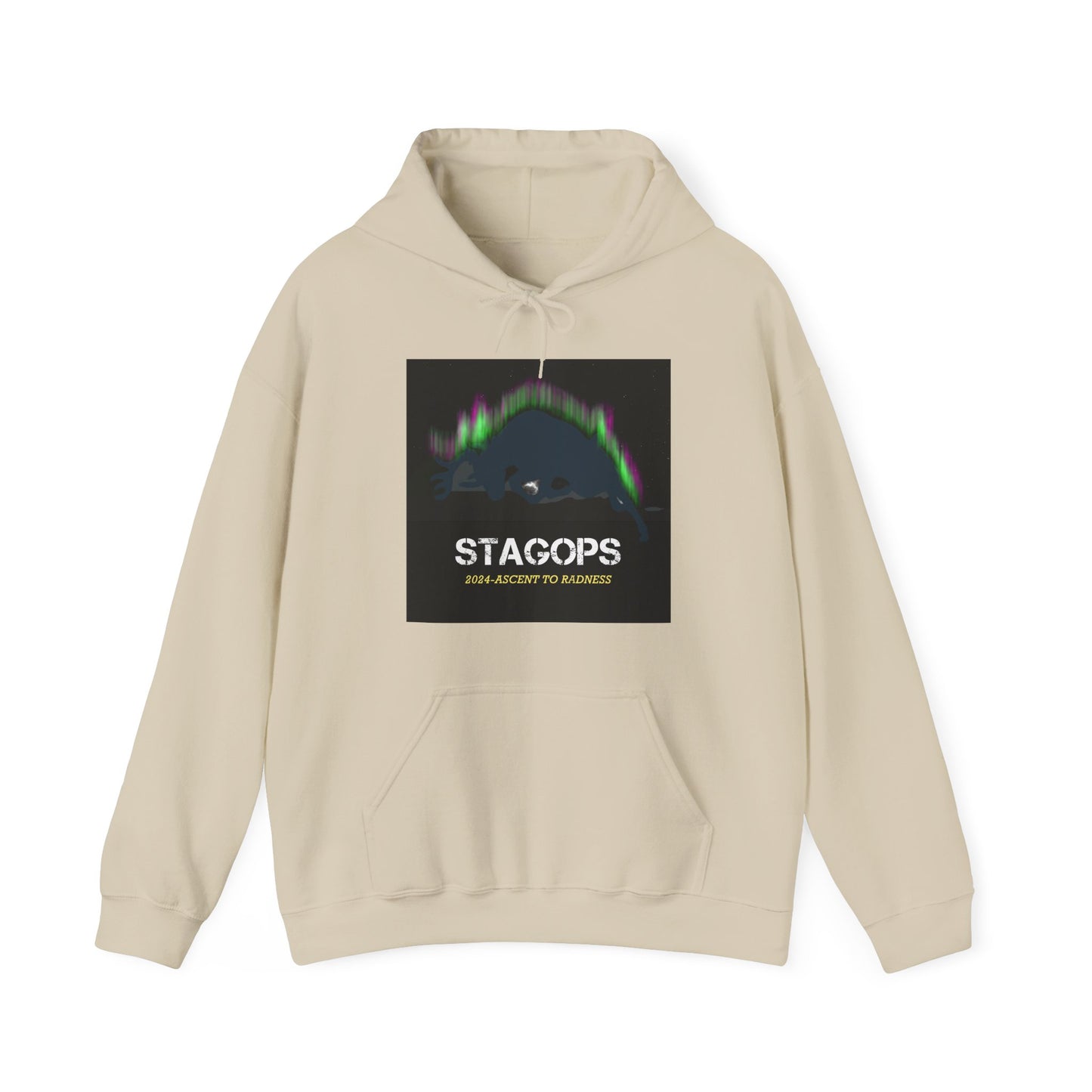 2024 Ascent to Radness Tour hoodie (Printed Front & Back)