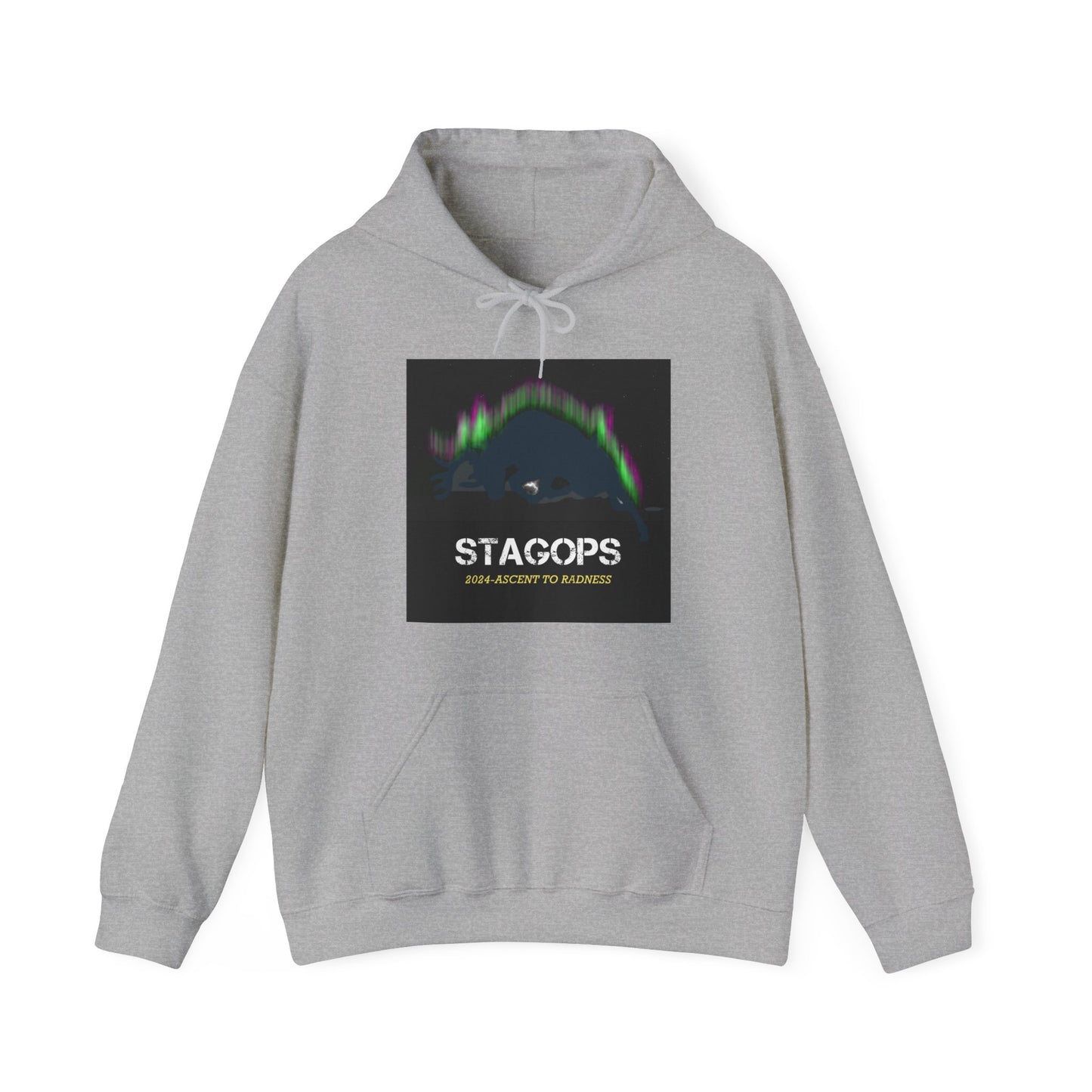 2024 Ascent to Radness Tour hoodie (Printed Front & Back)