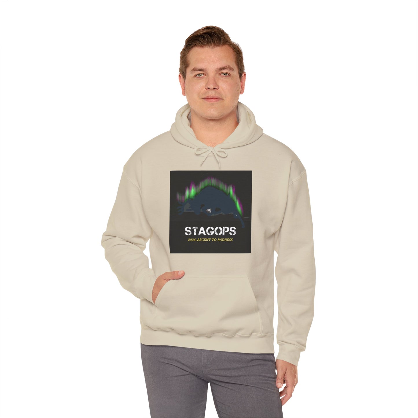 2024 Ascent to Radness Tour hoodie (Printed Front & Back)