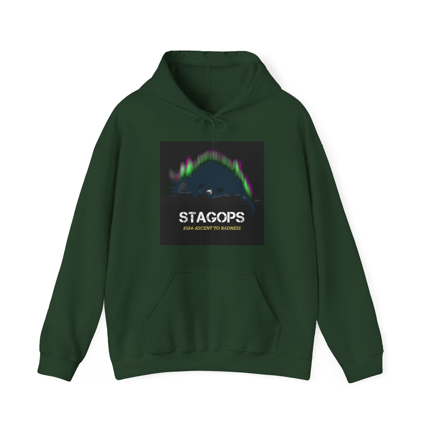 2024 Ascent to Radness Tour hoodie (Printed Front & Back)