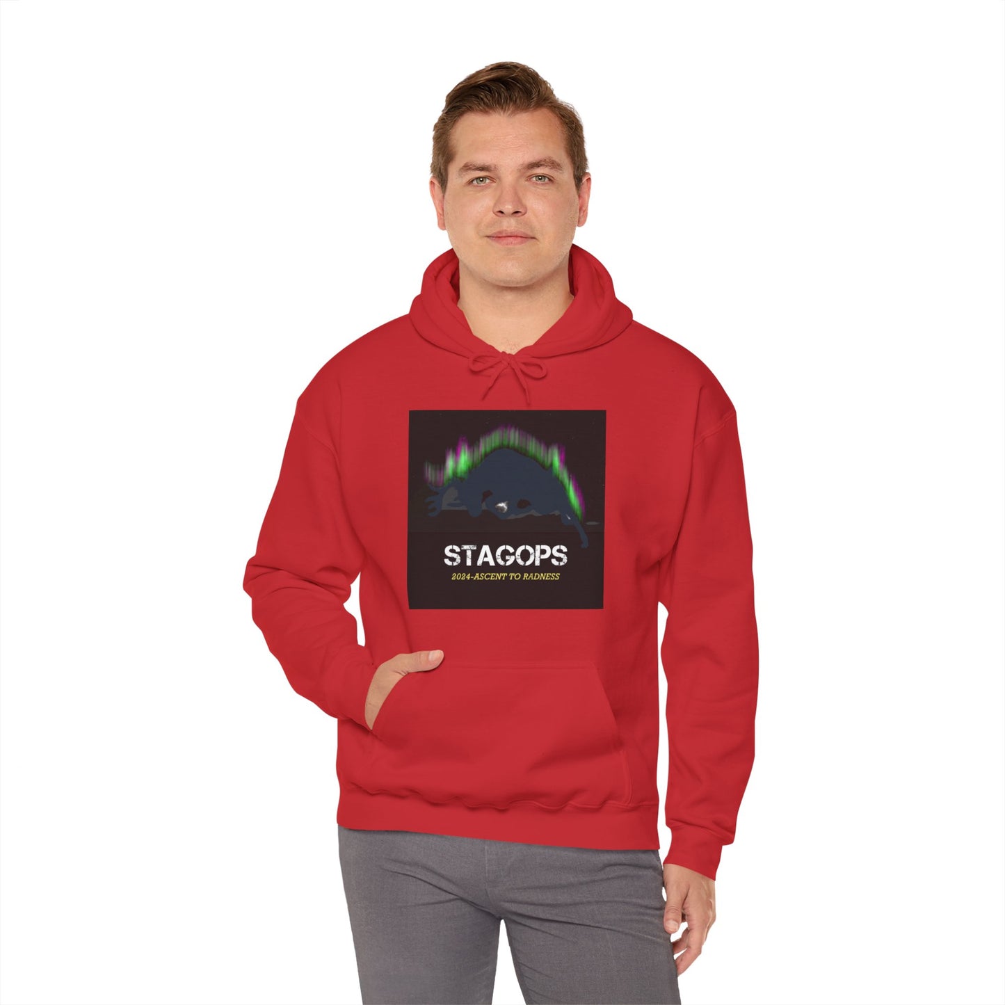 2024 Ascent to Radness Tour hoodie (Printed Front & Back)