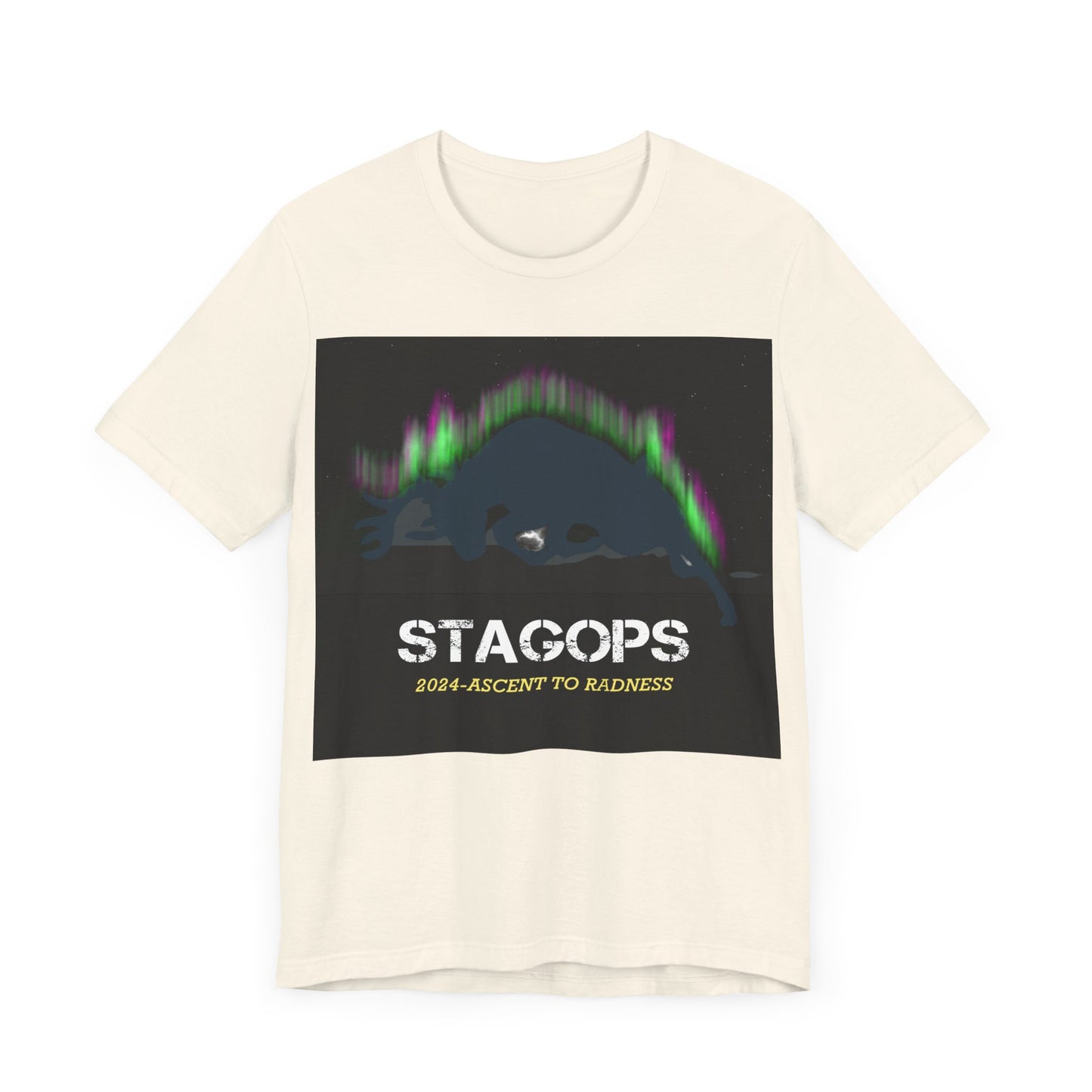 2024 Ascent to Radness Tour Tee