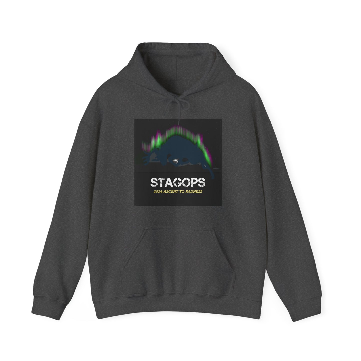 2024 Ascent to Radness Tour hoodie (Printed Front & Back)