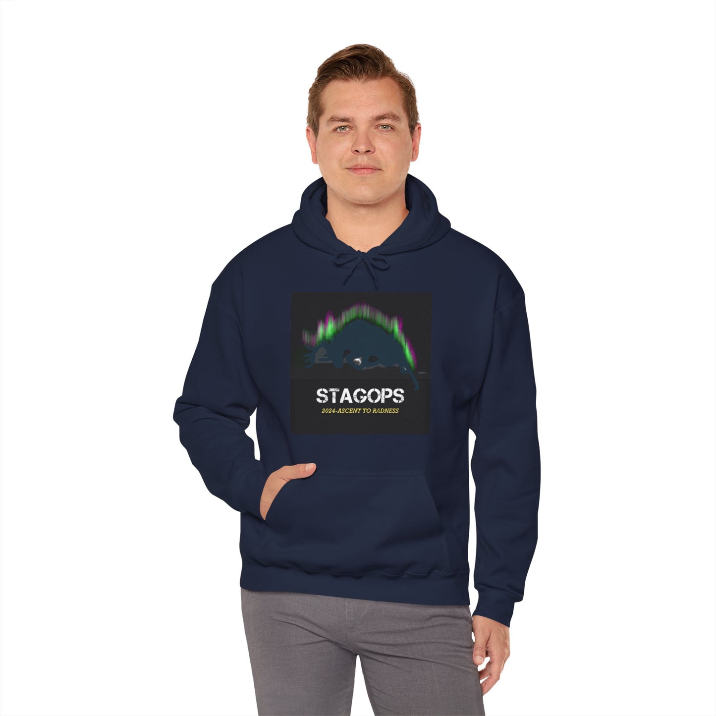 2024 Ascent to Radness Tour hoodie (Printed Front & Back)