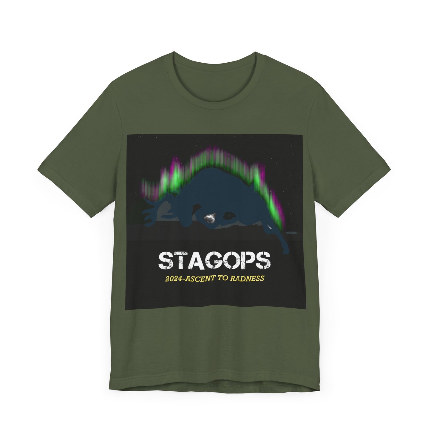 2024 Ascent to Radness Tour Tee (Double print)