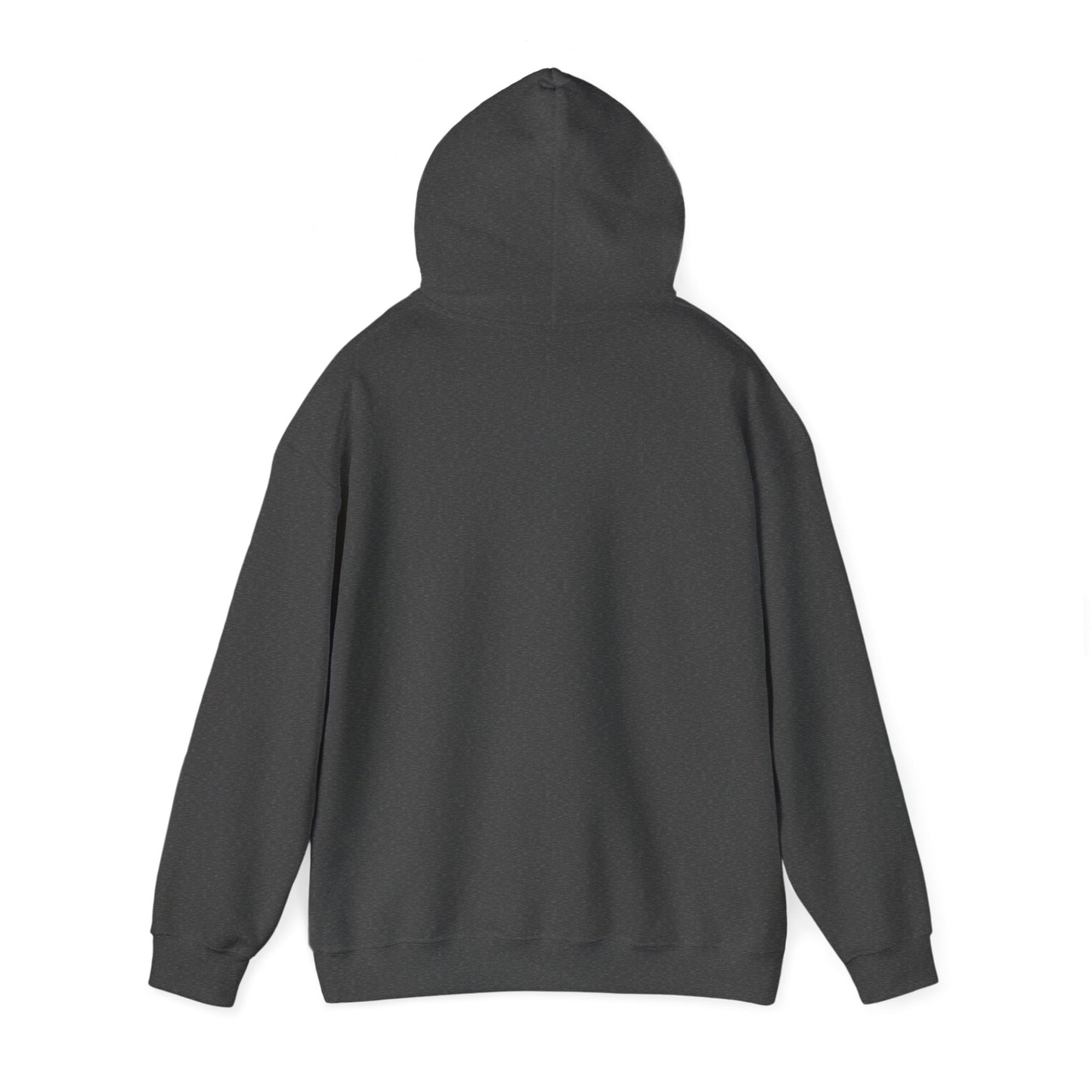 Autumn Justice 17 Hoodie